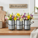 Galvanized Utensil Caddy-Lange General Store