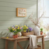 Spring Blessings w/ Butterflies Framed Wall Sign-Lange General Store