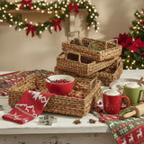 Tray Baskets Set of 4-Lange General Store